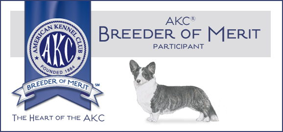 Rocky Ridge Kennels is proud to be listed by the AKC as Breeder of Merit